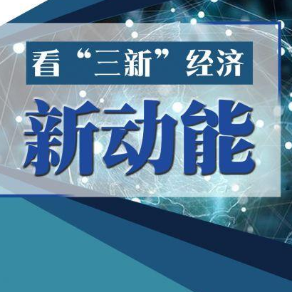 2020年我國“三新”經(jīng)濟(jì)增加值相當(dāng)于國內(nèi)生產(chǎn)總值的比重為17.08%